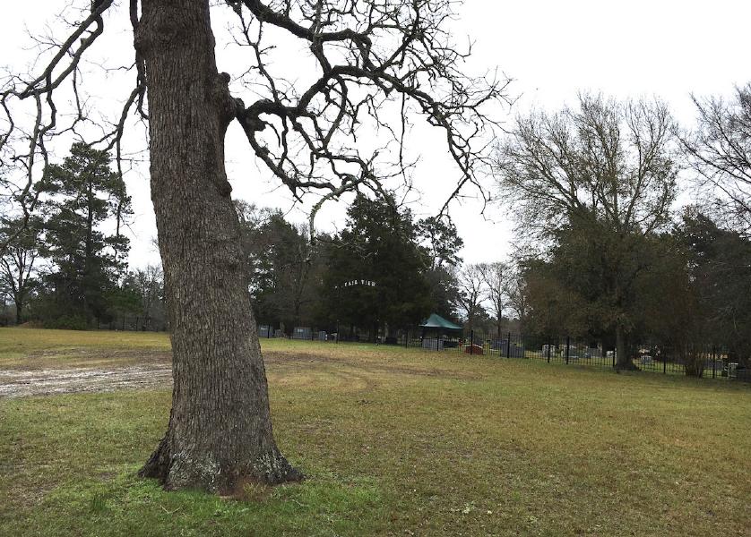 Opal Wood, Fairview Cemetery, near Richards, 17 January 2017